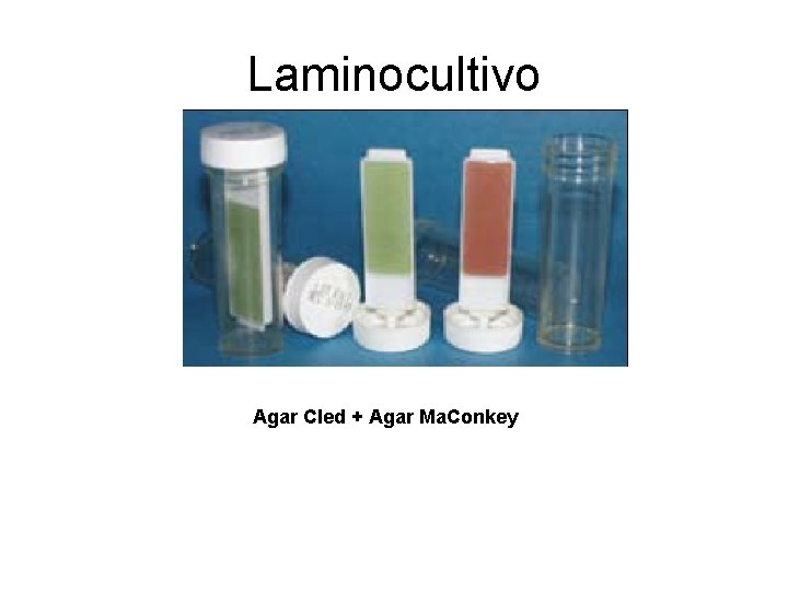 Laminocultivo Agar Cled + Agar Ma. Conkey Laminocultivo Agar Cled + Agar Ma. Conkey