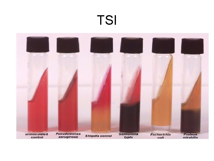 TSI TSI