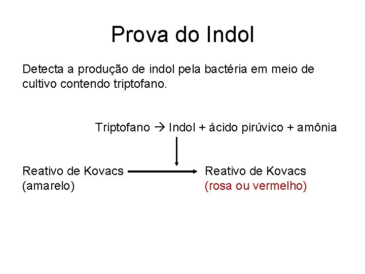 Prova do Indol Detecta a produção de indol pela bactéria em meio de cultivo Prova do Indol Detecta a produção de indol pela bactéria em meio de cultivo
