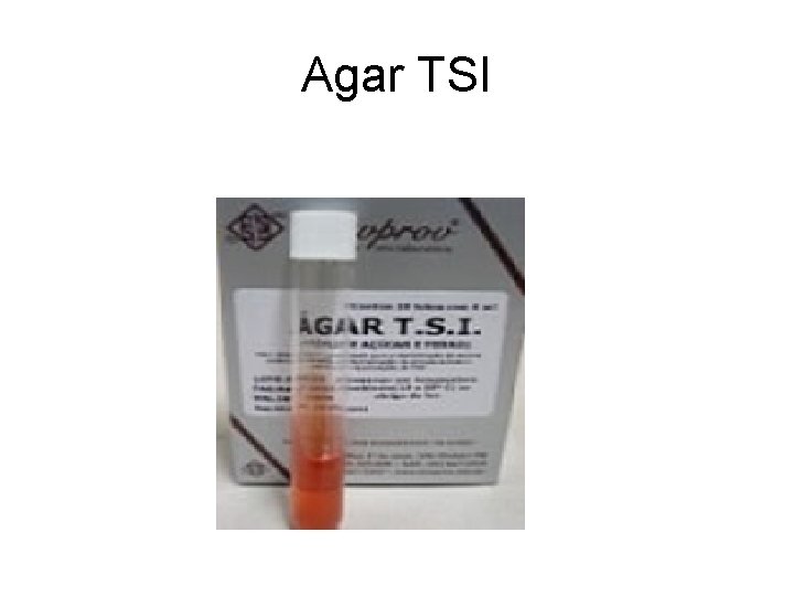 Agar TSI Agar TSI