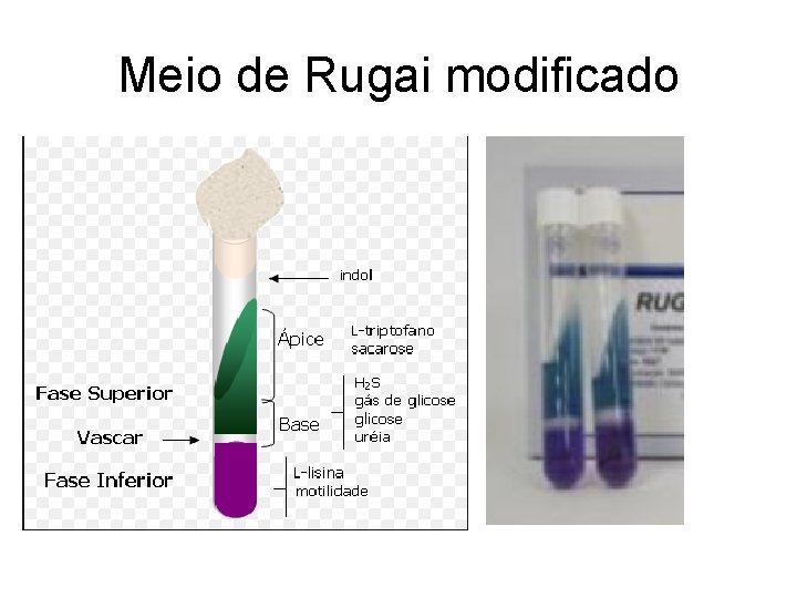 Meio de Rugai modificado Meio de Rugai modificado