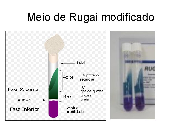 Meio de Rugai modificado 