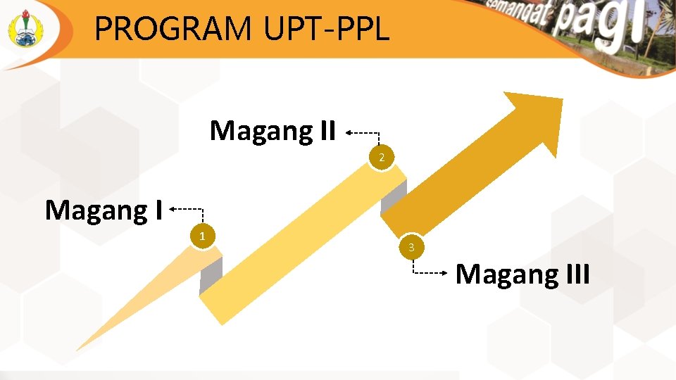 PROGRAM UPT-PPL Magang II 2 Magang I 1 3 Magang III 