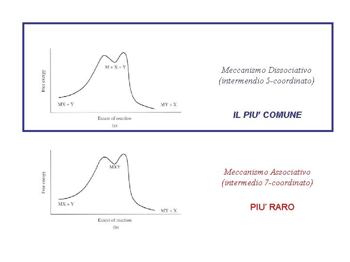 Meccanismo Dissociativo (intermendio 5 -coordinato) IL PIU’ COMUNE Meccanismo Associativo (intermedio 7 -coordinato) PIU’