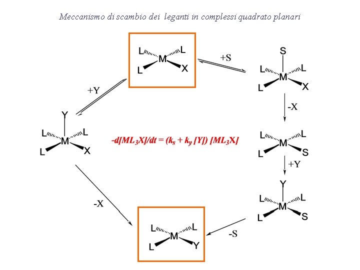 Meccanismo di scambio dei leganti in complessi quadrato planari 