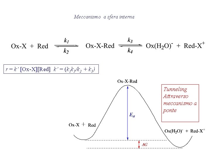 Meccanismo a sfera interna r = k’ [Ox-X][Red] k’ = (k 1 k 3/k