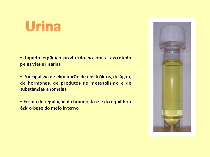 Urina • Líquido orgânico produzido no rim e excretado pelas vias urinárias • Principal