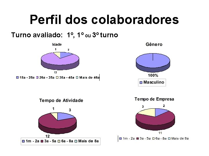 Perfil dos colaboradores Turno avaliado: 1º, 1º ou 3º turno 