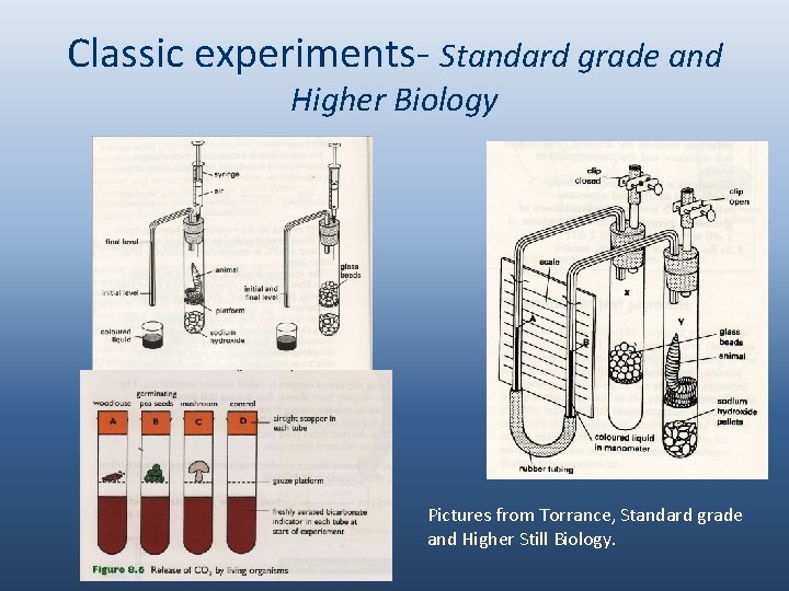 Classic experiments- Standard grade and Higher Biology Pictures from Torrance, Standard grade and Higher