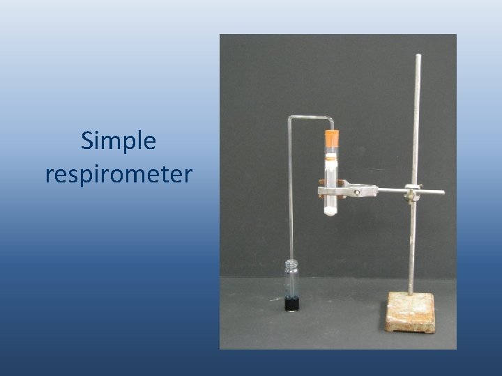 Simple respirometer 