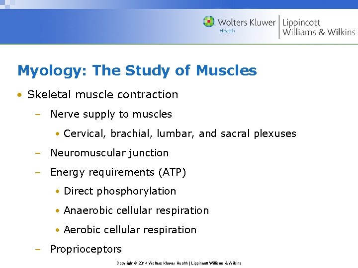 Myology: The Study of Muscles • Skeletal muscle contraction – Nerve supply to muscles