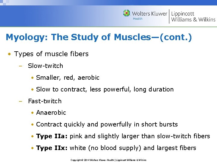 Myology: The Study of Muscles—(cont. ) • Types of muscle fibers – Slow-twitch •