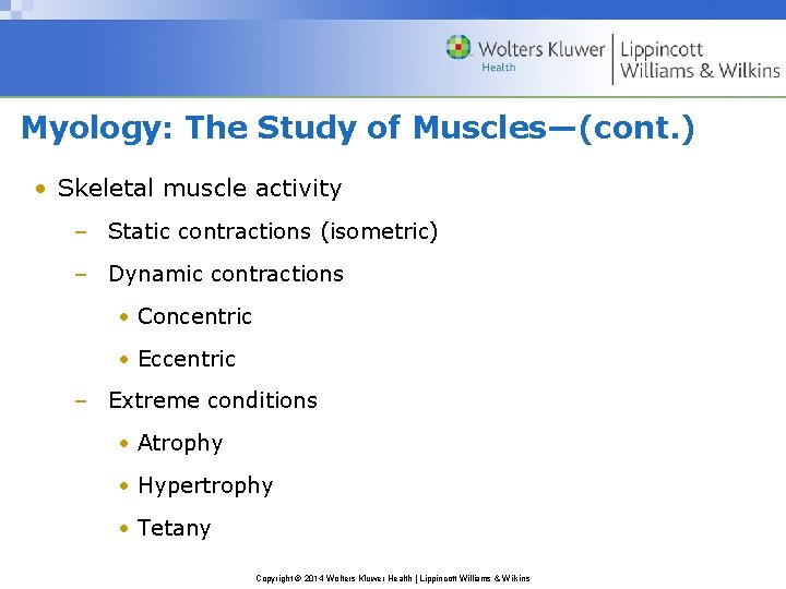 Myology: The Study of Muscles—(cont. ) • Skeletal muscle activity – Static contractions (isometric)