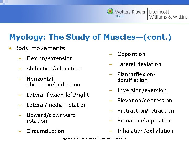 Myology: The Study of Muscles—(cont. ) • Body movements – Flexion/extension – Abduction/adduction –