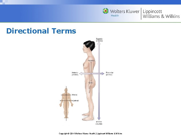 Directional Terms Copyright © 2014 Wolters Kluwer Health | Lippincott Williams & Wilkins 