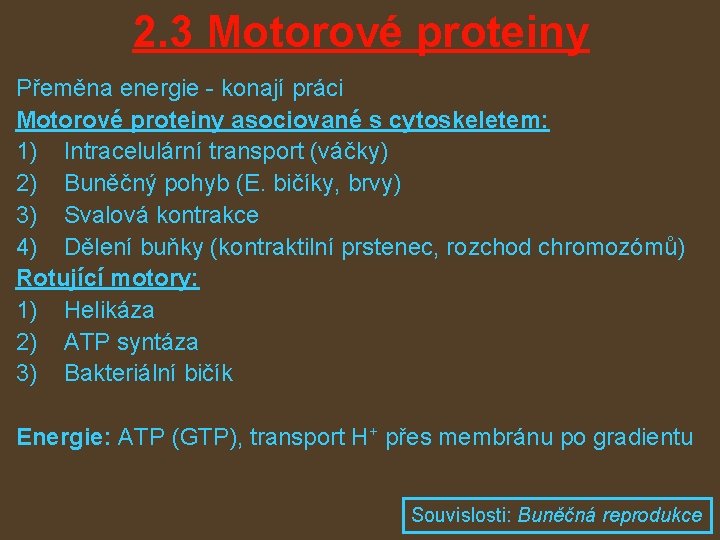 2. 3 Motorové proteiny Přeměna energie - konají práci Motorové proteiny asociované s cytoskeletem: