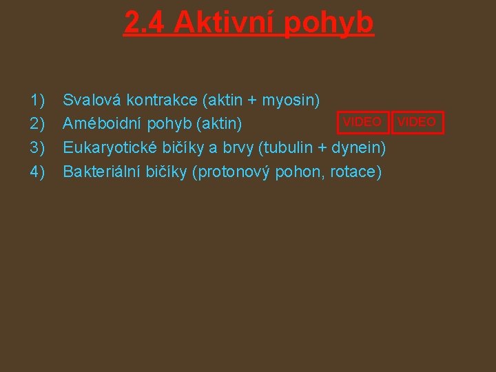 2. 4 Aktivní pohyb 1) 2) 3) 4) Svalová kontrakce (aktin + myosin) VIDEO