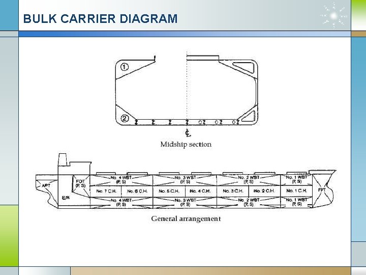 BULK CARRIER DIAGRAM 