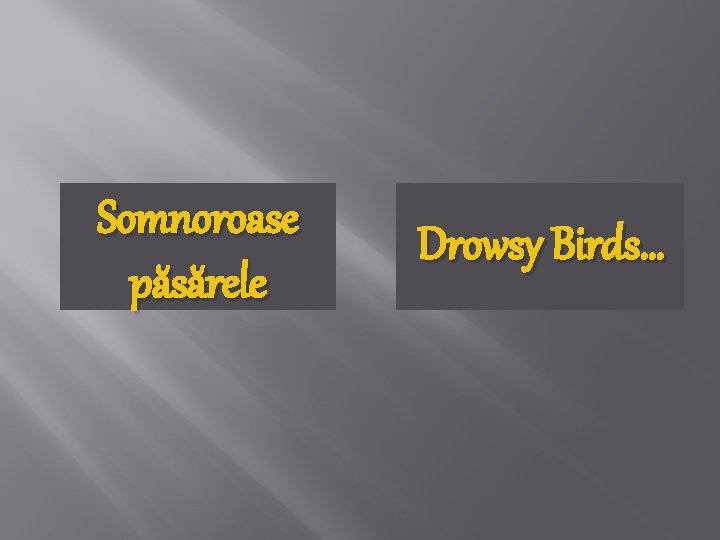 Somnoroase păsărele Drowsy Birds… 