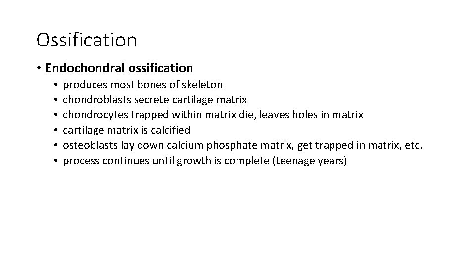 Ossification • Endochondral ossification • • • produces most bones of skeleton chondroblasts secrete Ossification • Endochondral ossification • • • produces most bones of skeleton chondroblasts secrete