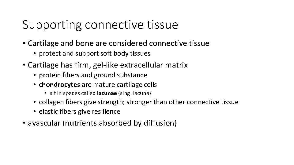 Supporting connective tissue • Cartilage and bone are considered connective tissue • protect and