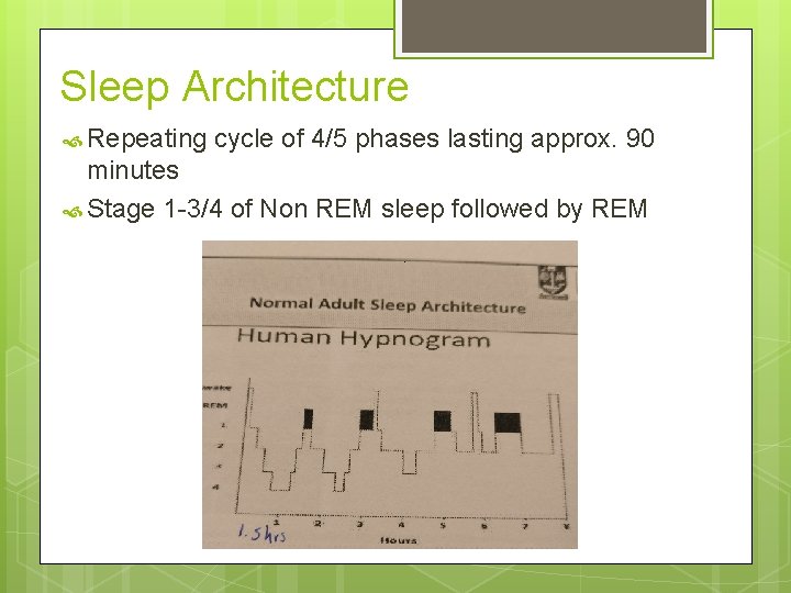 Sleep Architecture Repeating cycle of 4/5 phases lasting approx. 90 minutes Stage 1 -3/4