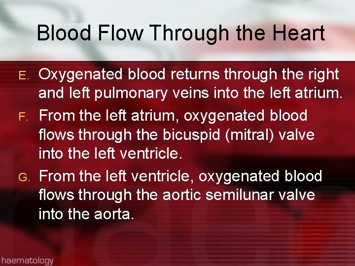 Blood Flow Through the Heart E. F. G. Oxygenated blood returns through the right