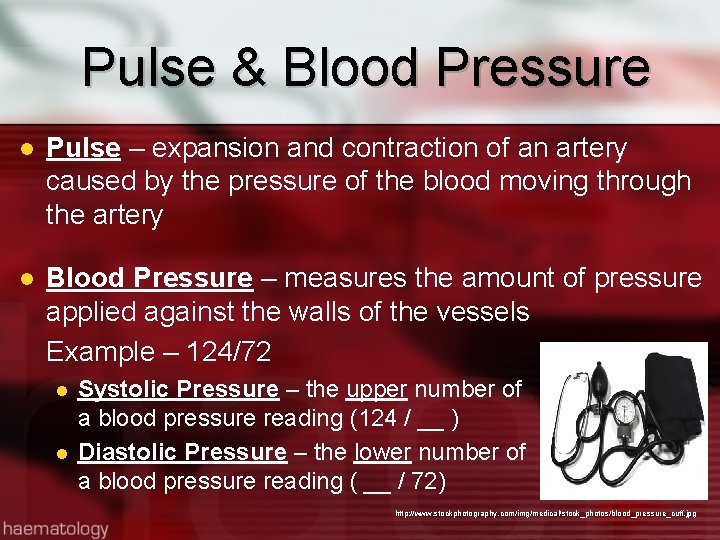 Pulse & Blood Pressure l Pulse – expansion and contraction of an artery caused