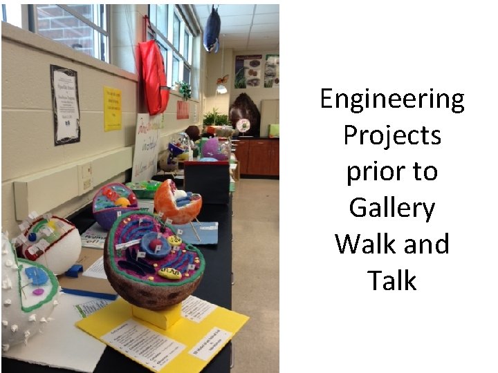 Engineering Projects prior to Gallery Walk and Talk 