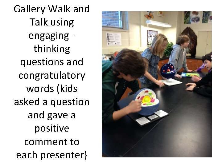 Gallery Walk and Talk using engaging thinking questions and congratulatory words (kids asked a