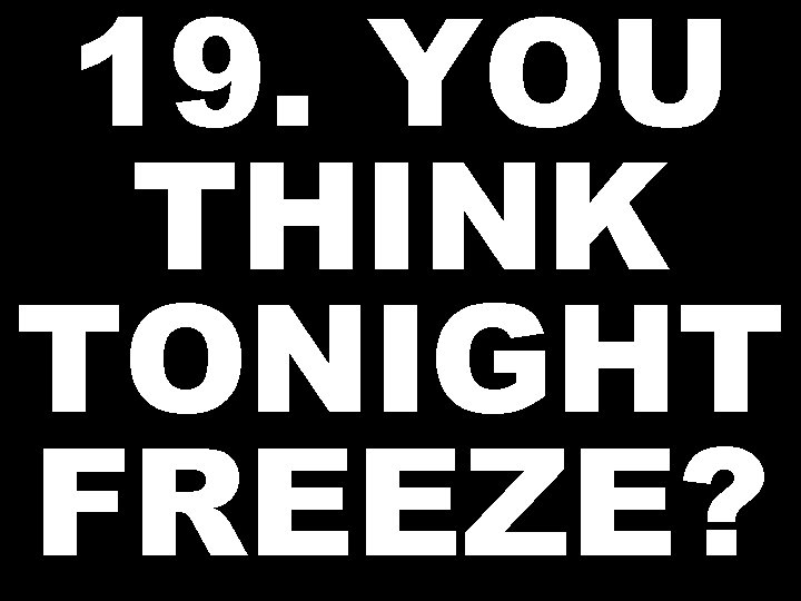 19. YOU THINK TONIGHT FREEZE? 