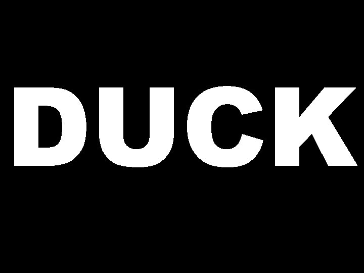 DUCK 