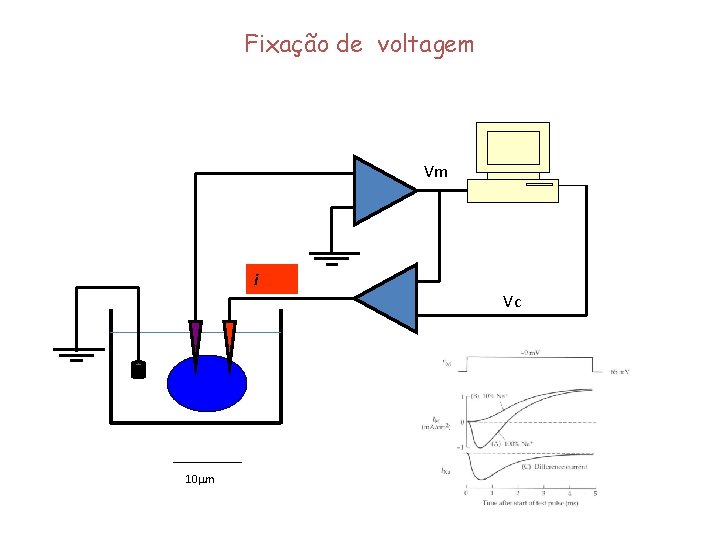 Fixação de voltagem Vm i Vc 10 mm 