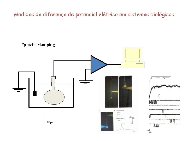 Medidas da diferença de potencial elétrico em sistemas biológicos “patch” clamping 10 mm 