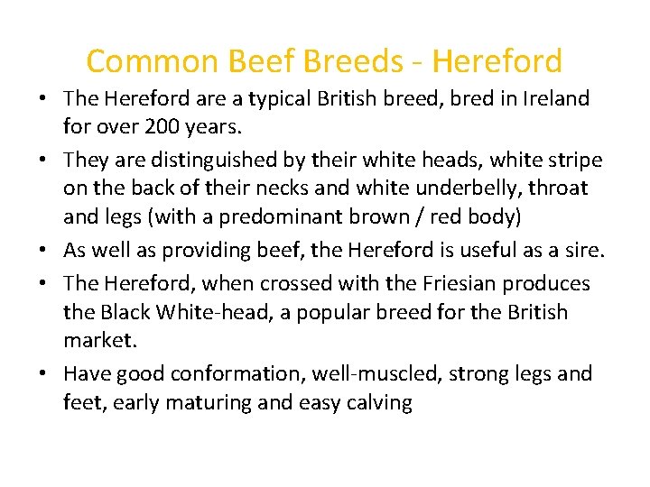 Common Beef Breeds - Hereford • The Hereford are a typical British breed, bred