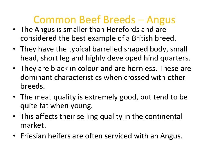 Common Beef Breeds – Angus • The Angus is smaller than Herefords and are
