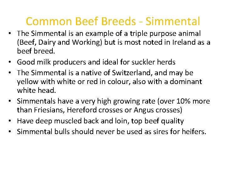 Common Beef Breeds - Simmental • The Simmental is an example of a triple