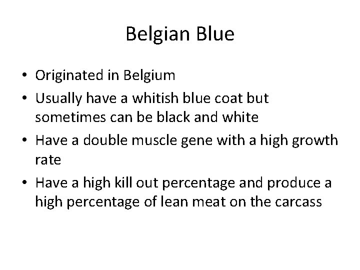 Belgian Blue • Originated in Belgium • Usually have a whitish blue coat but
