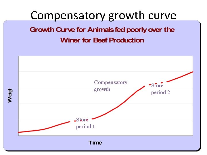 Compensatory growth curve Compensatory growth Store period 1 Store period 2 