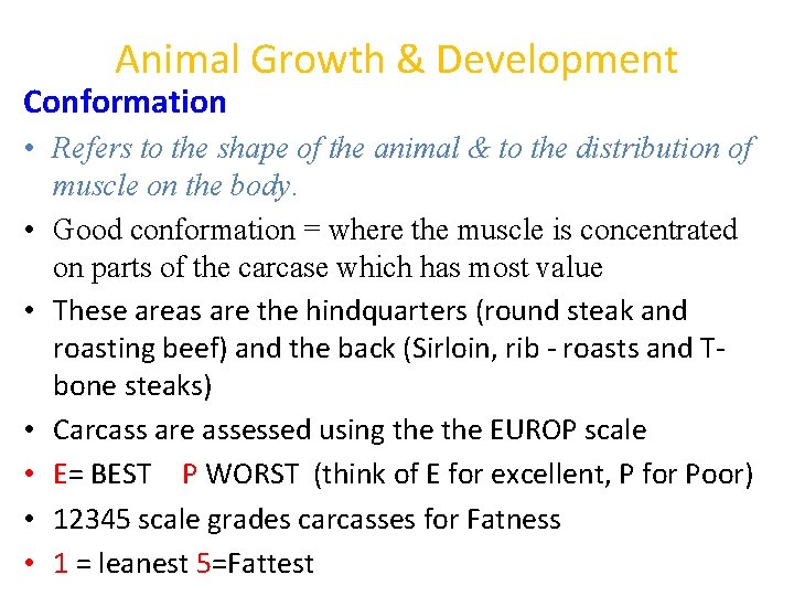 Animal Growth & Development Conformation • Refers to the shape of the animal &