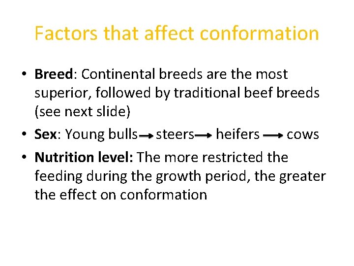 Factors that affect conformation • Breed: Continental breeds are the most superior, followed by