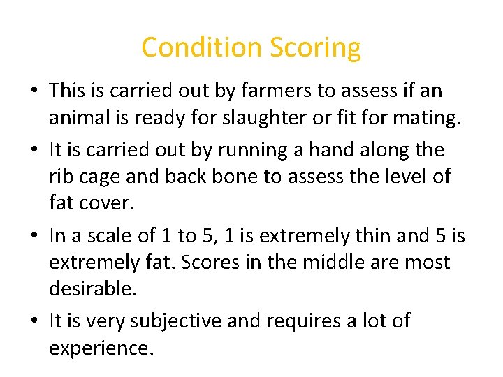 Condition Scoring • This is carried out by farmers to assess if an animal