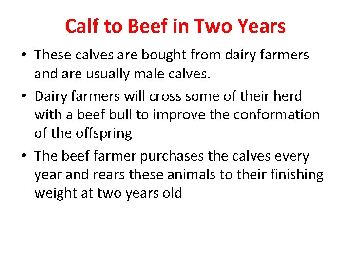 Calf to Beef in Two Years • These calves are bought from dairy farmers