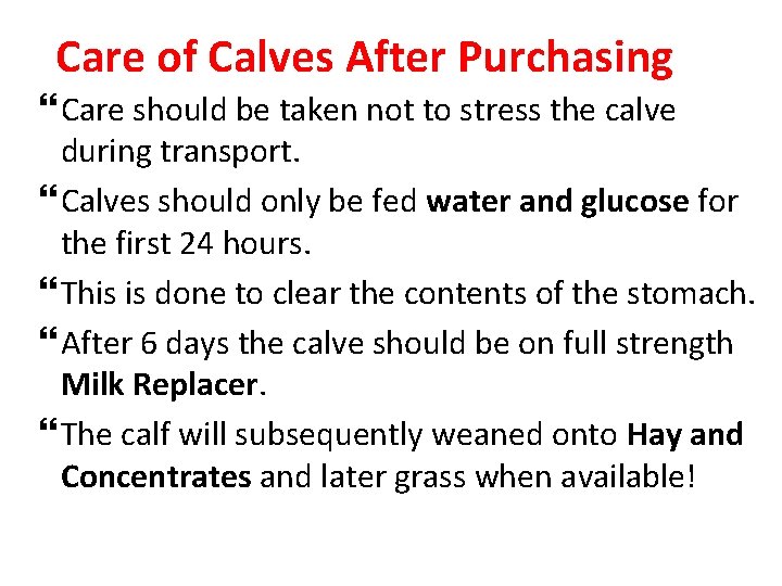 Care of Calves After Purchasing Care should be taken not to stress the calve