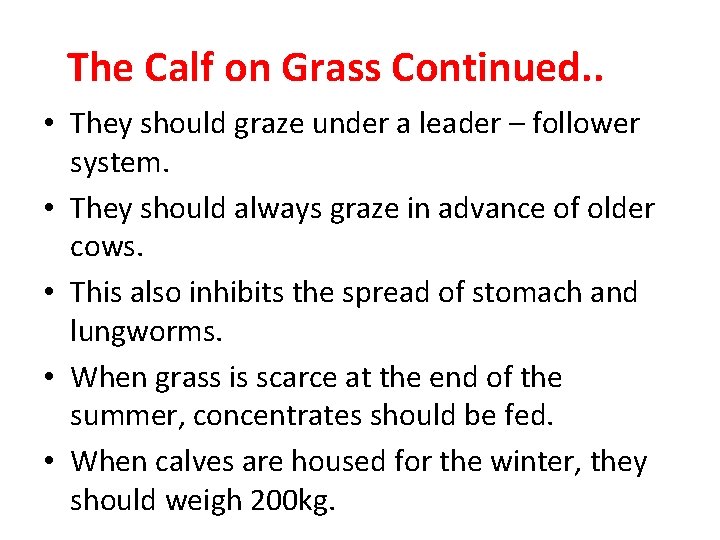The Calf on Grass Continued. . • They should graze under a leader –