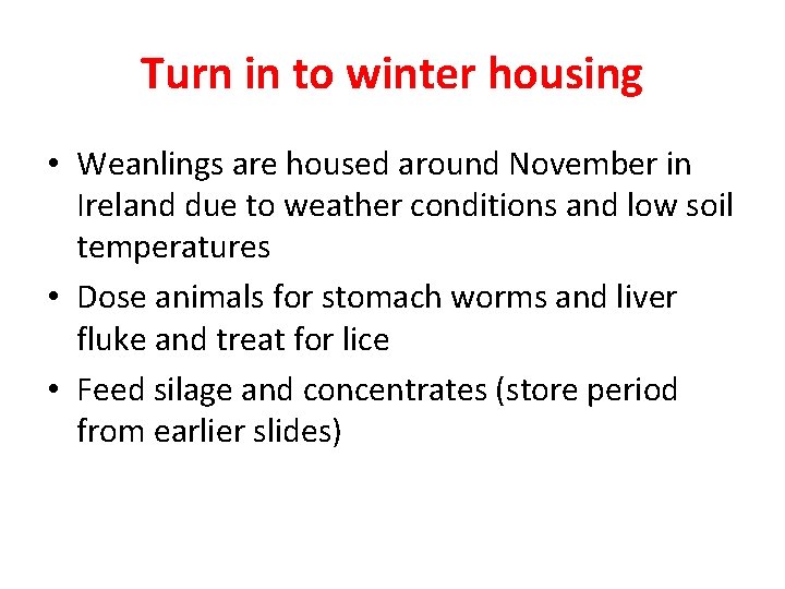Turn in to winter housing • Weanlings are housed around November in Ireland due