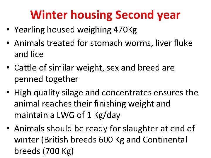 Winter housing Second year • Yearling housed weighing 470 Kg • Animals treated for
