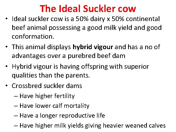 The Ideal Suckler cow • Ideal suckler cow is a 50% dairy x 50%
