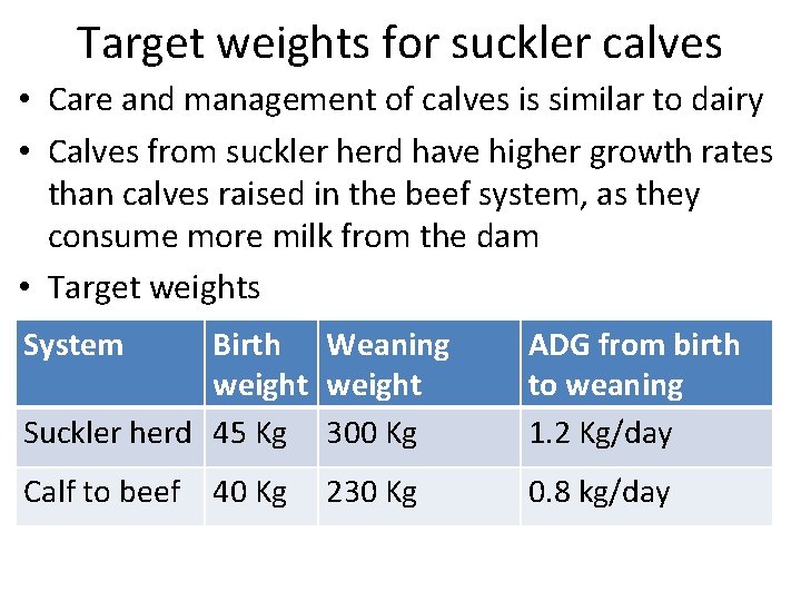 Target weights for suckler calves • Care and management of calves is similar to