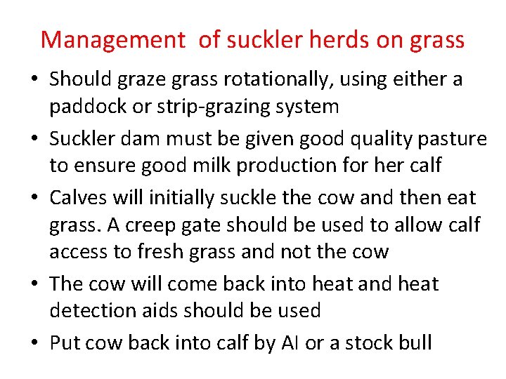 Management of suckler herds on grass • Should graze grass rotationally, using either a